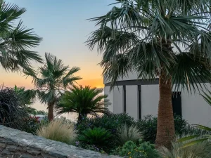 Lush palm garden surrounding Meltemi Villa with sea backdrop.